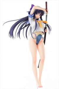 Descubre el apasionante mundo de Figura Hentai Walkure Romanze Akane.