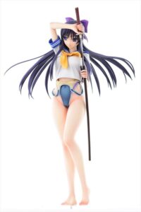 Descubre el apasionante mundo de Figura Hentai Walkure Romanze Akane.