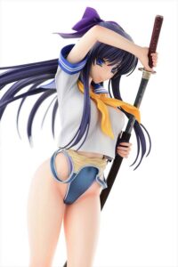 Descubre el apasionante mundo de Figura Hentai Walkure Romanze Akane.