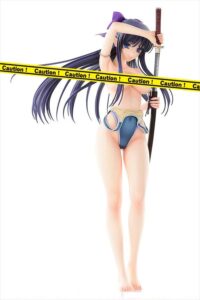 Descubre el apasionante mundo de Figura Hentai Walkure Romanze Akane.
