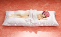 Descubre el apasionante mundo de Figura Ram Sleep Sharing Pink Lingerie Re ZERO.