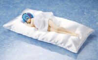Descubre el apasionante mundo de Figura Rem Sleep Sharing Blue Lingerie Re ZERO.