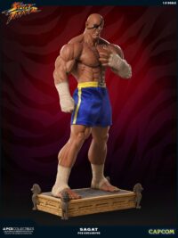 Descubre el apasionante mundo de Estatua Street Fighter Sagat.