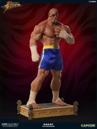 Descubre el apasionante mundo de Estatua Street Fighter Sagat.