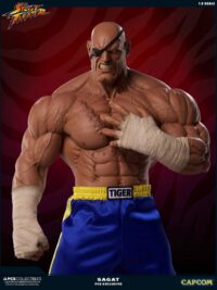 Descubre el apasionante mundo de Estatua Street Fighter Sagat.