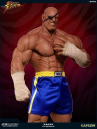 Descubre el apasionante mundo de Estatua Street Fighter Sagat.