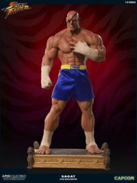 Descubre el apasionante mundo de Estatua Street Fighter Sagat.