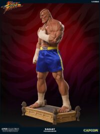 Descubre el apasionante mundo de Estatua Street Fighter Sagat.