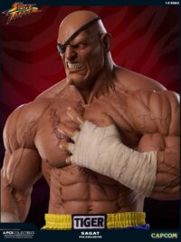 Descubre el apasionante mundo de Estatua Street Fighter Sagat.
