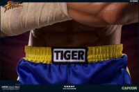 Descubre el apasionante mundo de Estatua Street Fighter Sagat.