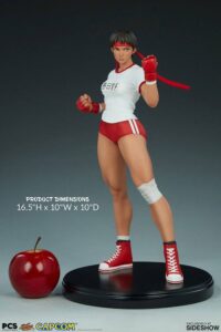 Descubre el apasionante mundo de Figura Street Fighter Sakura Gym.