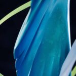 Descubre el apasionante mundo de Estatua Lancer Brynhild.