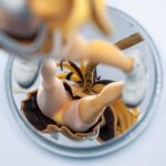 Descubre el apasionante mundo de Estatua Rescue N 15 Shi Hu Leopard Cat.