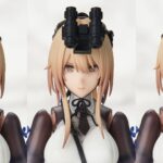 Descubre el apasionante mundo de Figura Punishing Gray Arctech Bianca Veritas.