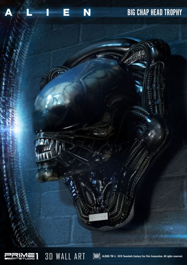 Descubre el apasionante mundo de Decoracion Big Chap Head Trophy.