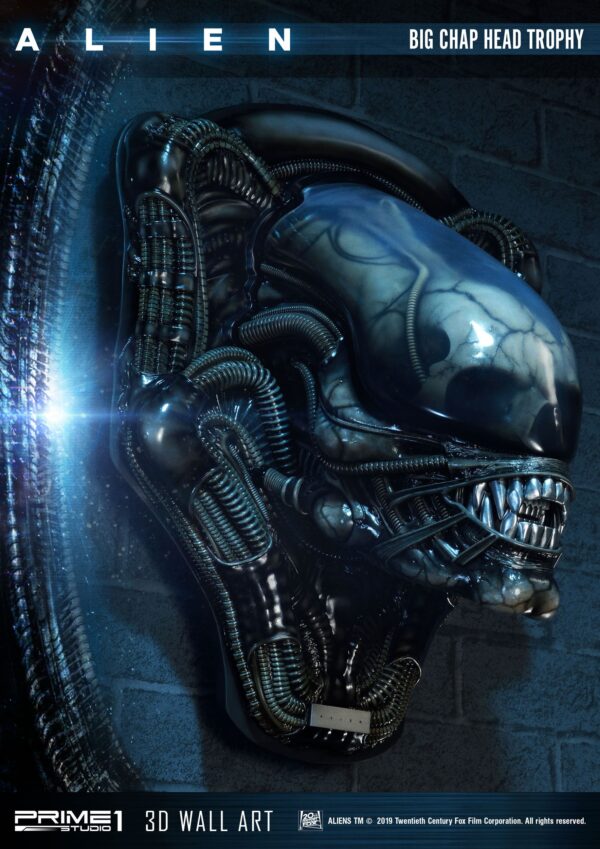 Descubre el apasionante mundo de Decoracion Big Chap Head Trophy.