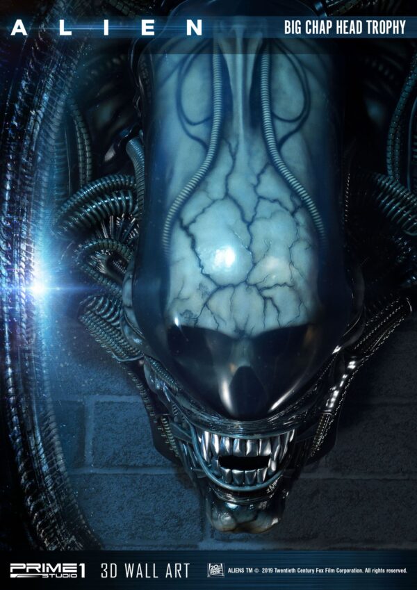 Descubre el apasionante mundo de Decoracion Big Chap Head Trophy.