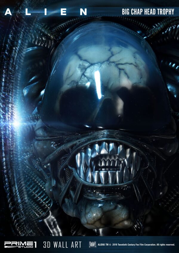 Descubre el apasionante mundo de Decoracion Big Chap Head Trophy.
