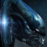 Descubre el apasionante mundo de Decoracion Big Chap Head Trophy.