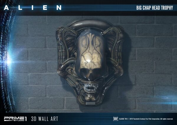 Descubre el apasionante mundo de Decoracion Big Chap Head Trophy.