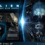 Descubre el apasionante mundo de Decoracion Big Chap Head Trophy.