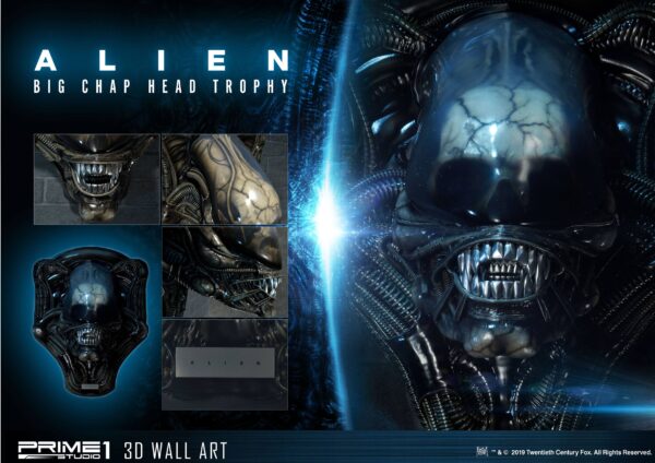 Descubre el apasionante mundo de Decoracion Big Chap Head Trophy.