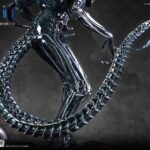 Descubre el apasionante mundo de Estatua Alien Warrior Deluxe.
