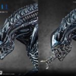 Descubre el apasionante mundo de Estatua Alien Warrior Deluxe.