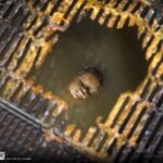 Descubre el apasionante mundo de Estatua Alien Warrior Deluxe.