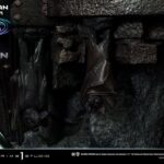 Descubre el apasionante mundo de Estatua Museum Masterline Series Robin.