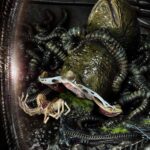 Descubre el apasionante mundo de Estatua Rogue Alien Battle Diorama.