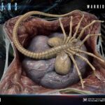 Descubre el apasionante mundo de Estatua Warrior Alien Masterline Series.