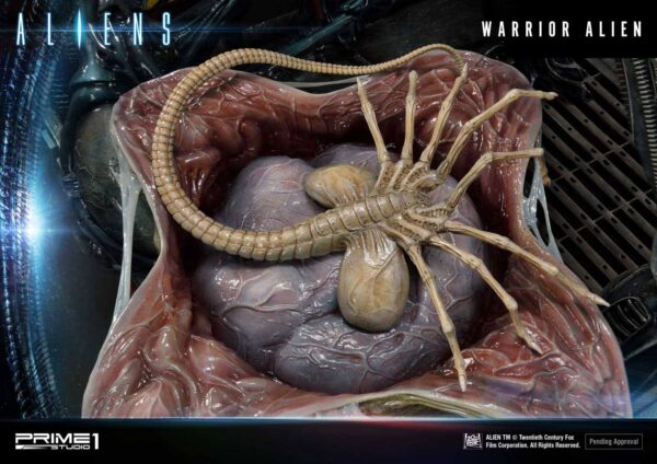 Descubre el apasionante mundo de Estatua Warrior Alien Masterline Series.