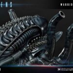Descubre el apasionante mundo de Estatua Warrior Alien Masterline Series.