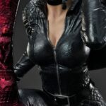 Descubre el apasionante mundo de Estatua Catwoman DC Comics.