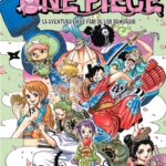 Descubre el apasionante mundo de Manga One Piece 91.