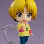 Descubre el apasionante mundo de Figura Nendoroid Hikaru Shindo.