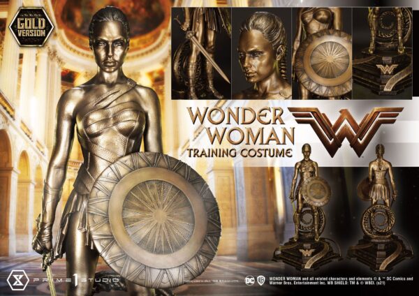 Descubre el apasionante mundo de Estatua Wonder Woman Training Costume.