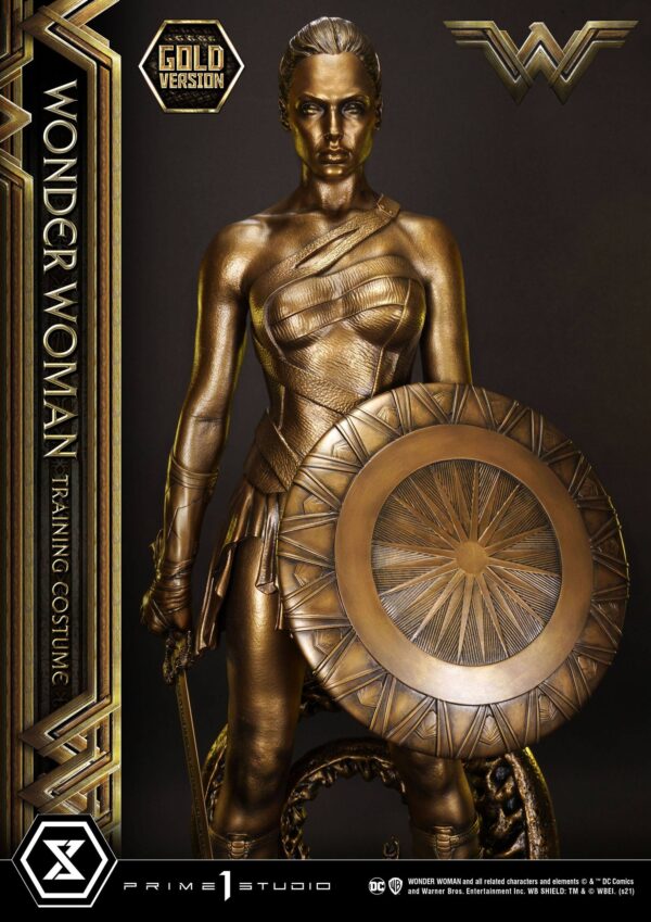 Descubre el apasionante mundo de Estatua Wonder Woman Training Costume.