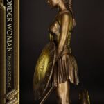 Descubre el apasionante mundo de Estatua Wonder Woman Training Costume.