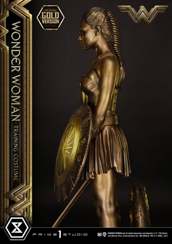 Descubre el apasionante mundo de Estatua Wonder Woman Training Costume.
