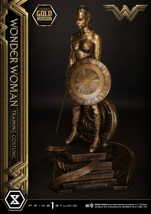 Descubre el apasionante mundo de Estatua Wonder Woman Training Costume.