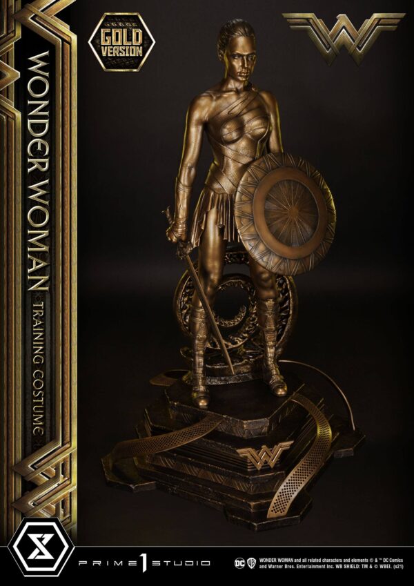 Descubre el apasionante mundo de Estatua Wonder Woman Training Costume.
