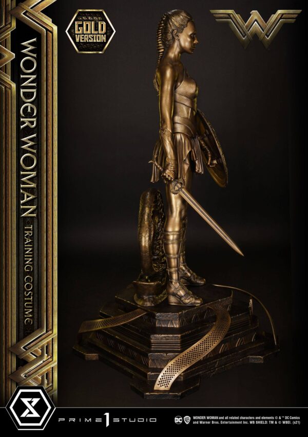 Descubre el apasionante mundo de Estatua Wonder Woman Training Costume.