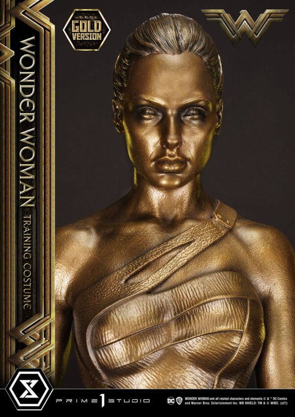 Descubre el apasionante mundo de Estatua Wonder Woman Training Costume.