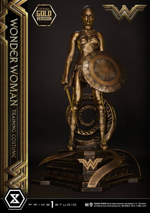 Descubre el apasionante mundo de Estatua Wonder Woman Training Costume.
