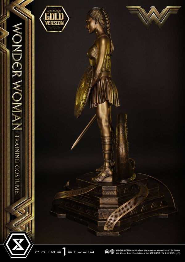 Descubre el apasionante mundo de Estatua Wonder Woman Training Costume.