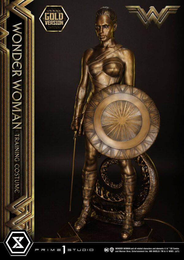 Descubre el apasionante mundo de Estatua Wonder Woman Training Costume.