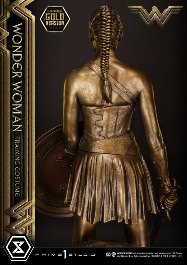 Descubre el apasionante mundo de Estatua Wonder Woman Training Costume.