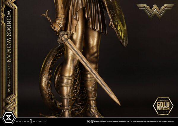 Descubre el apasionante mundo de Estatua Wonder Woman Training Costume.